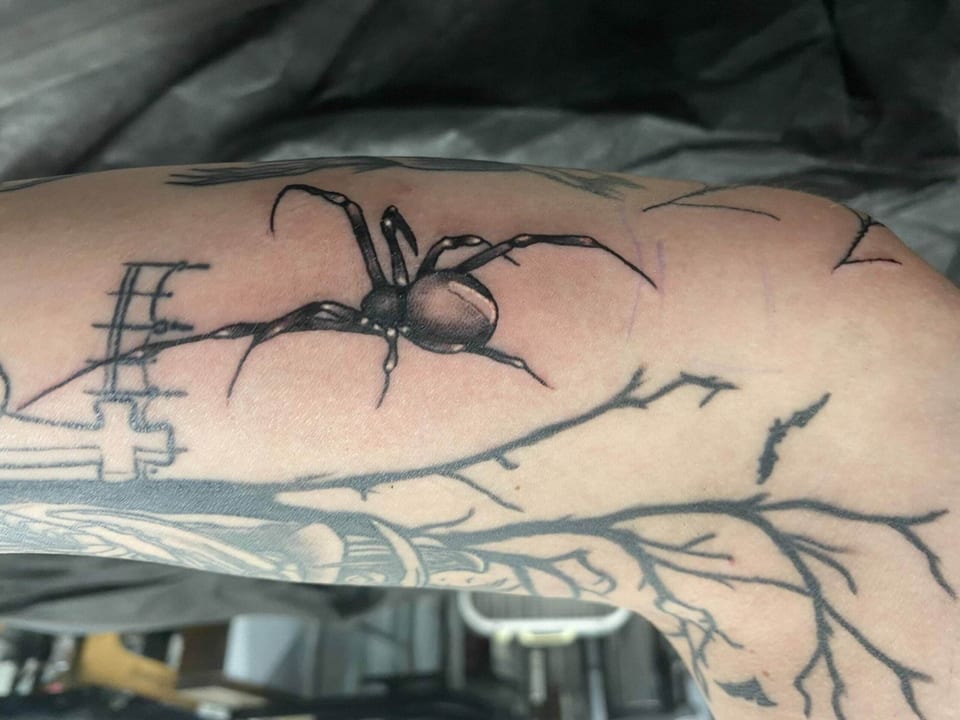 A black and grey realism spider sits among branches on an upper arm.