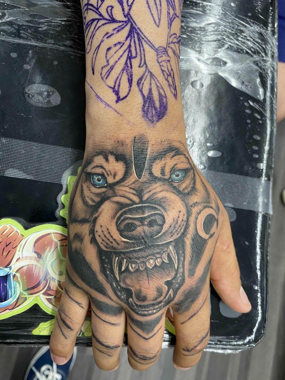 A snarling illustrative wolf with blue eyes covers the back of a hand below a purple stencil.