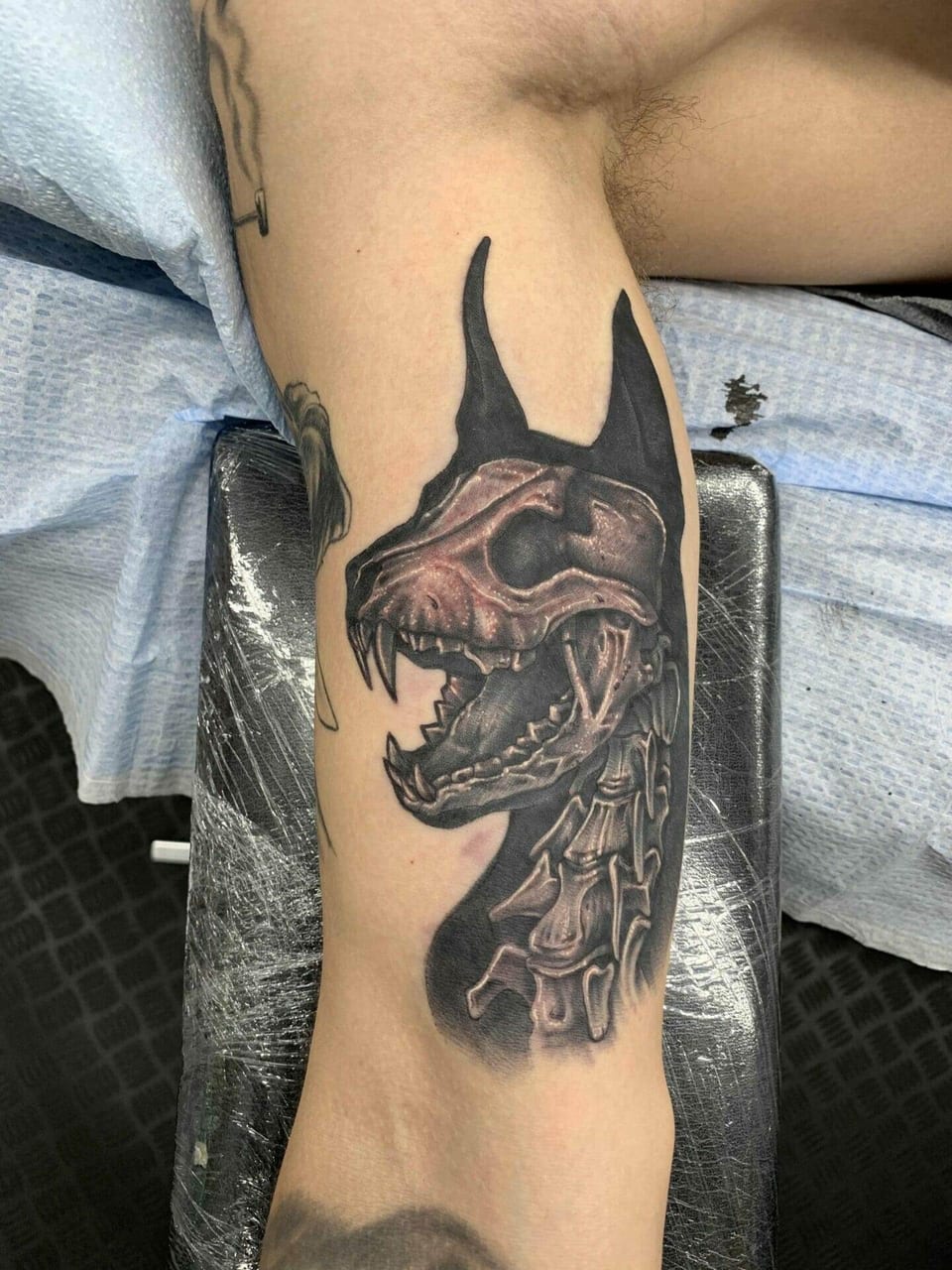 A black and grey dog skull with pointed ears and exposed spine covers the inner upper arm.