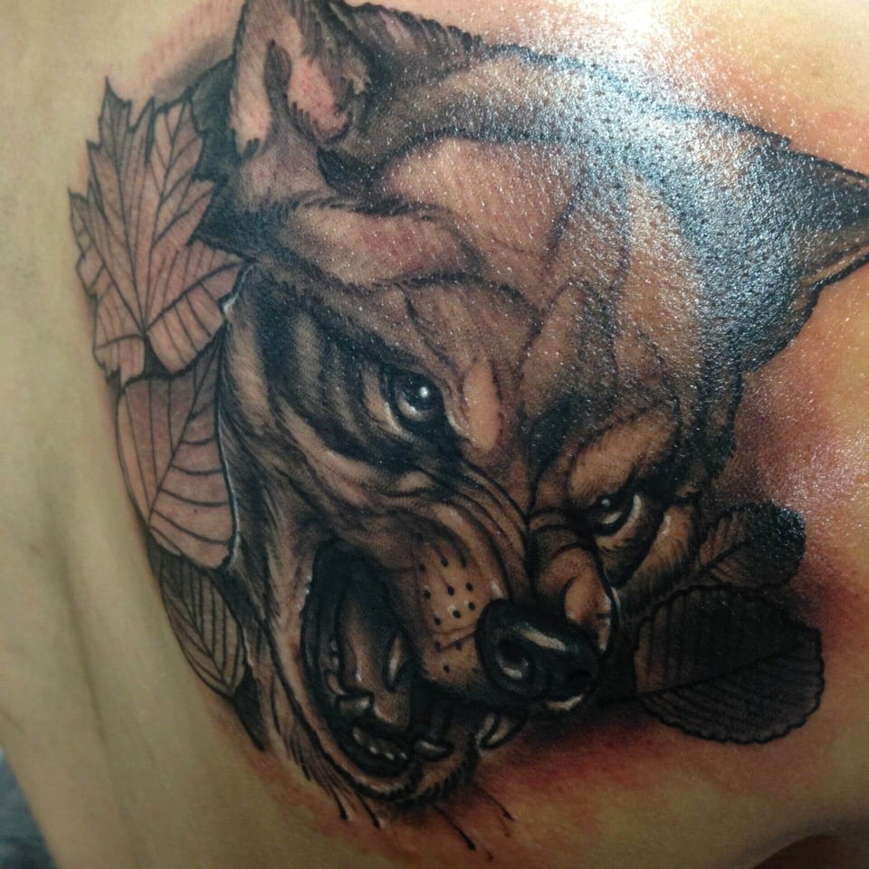 A realistic brown wolf with bared teeth sits among autumn leaves on the shoulder.