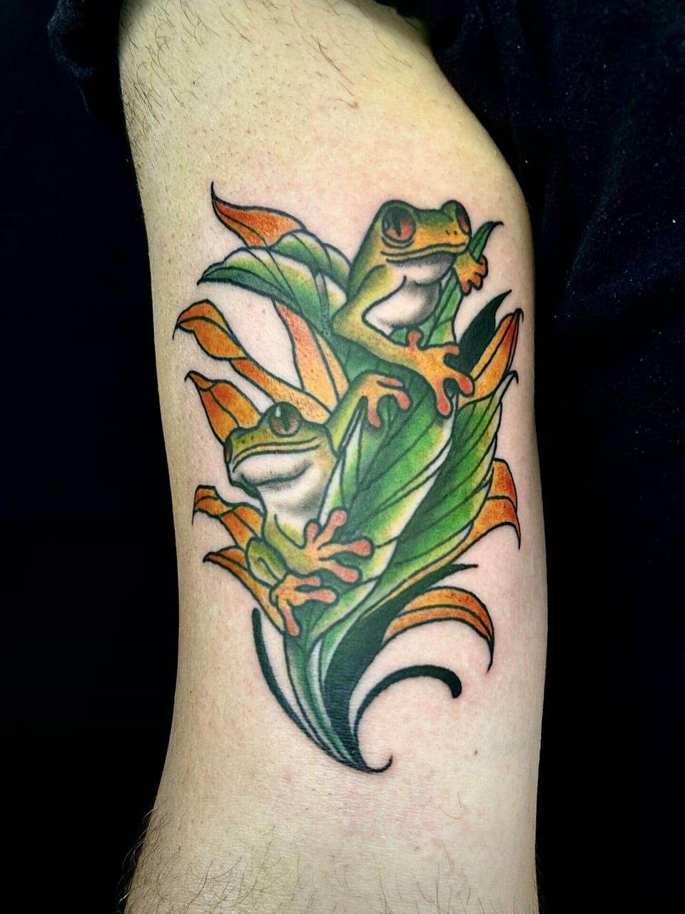 A neo traditional tattoo places green tree frogs on orange and green leaves along the inner upper arm.