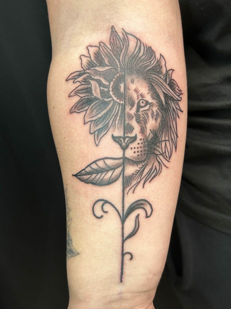A black and grey illustrative tattoo merges a lion's face with a sunflower on a forearm.