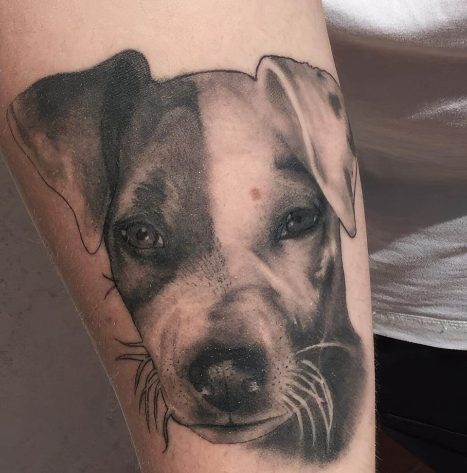 A black and grey dog portrait with floppy ears and a white muzzle fills a forearm.