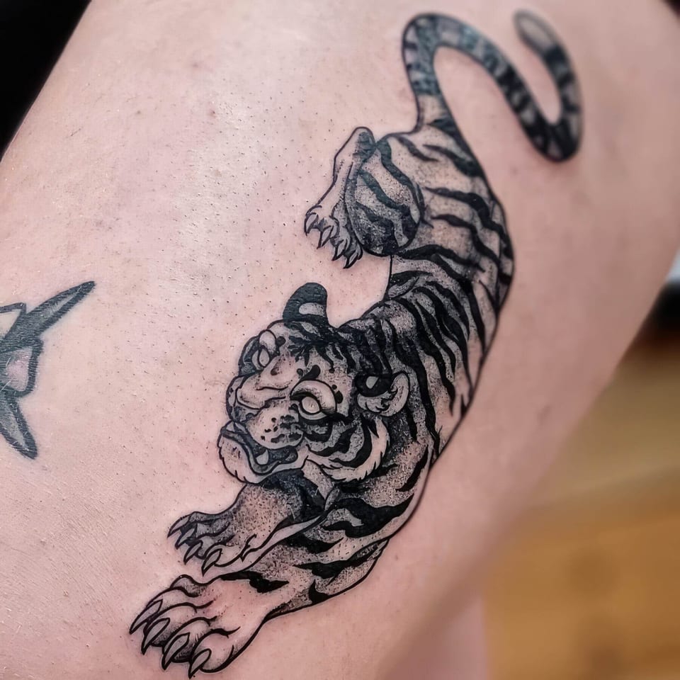 A black and grey tiger stretches forward with a curling striped tail on a thigh.