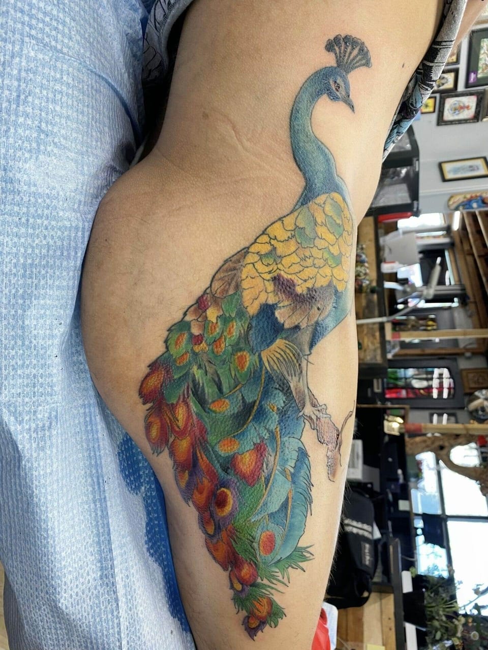 A color illustrative peacock perches with green and orange tail feathers hanging down the inner upper arm.