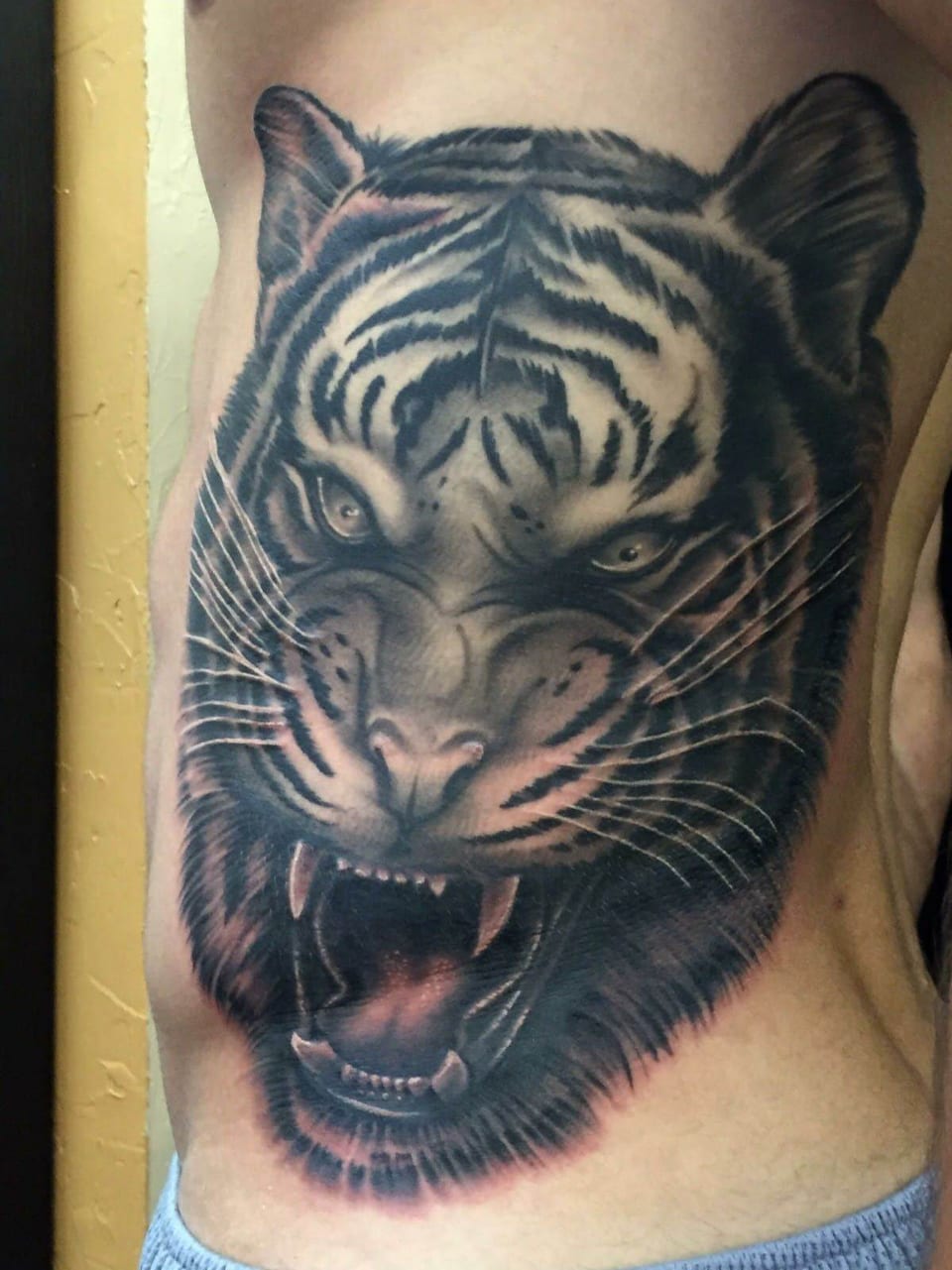 A shaded tiger bares its fangs across an abdomen.