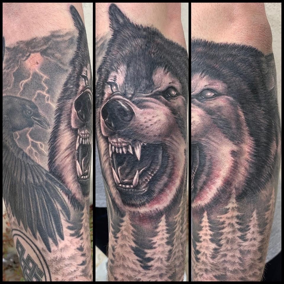 Black and grey realism snarling wolf, raven and forest tattoos wrap around the arm in several views.