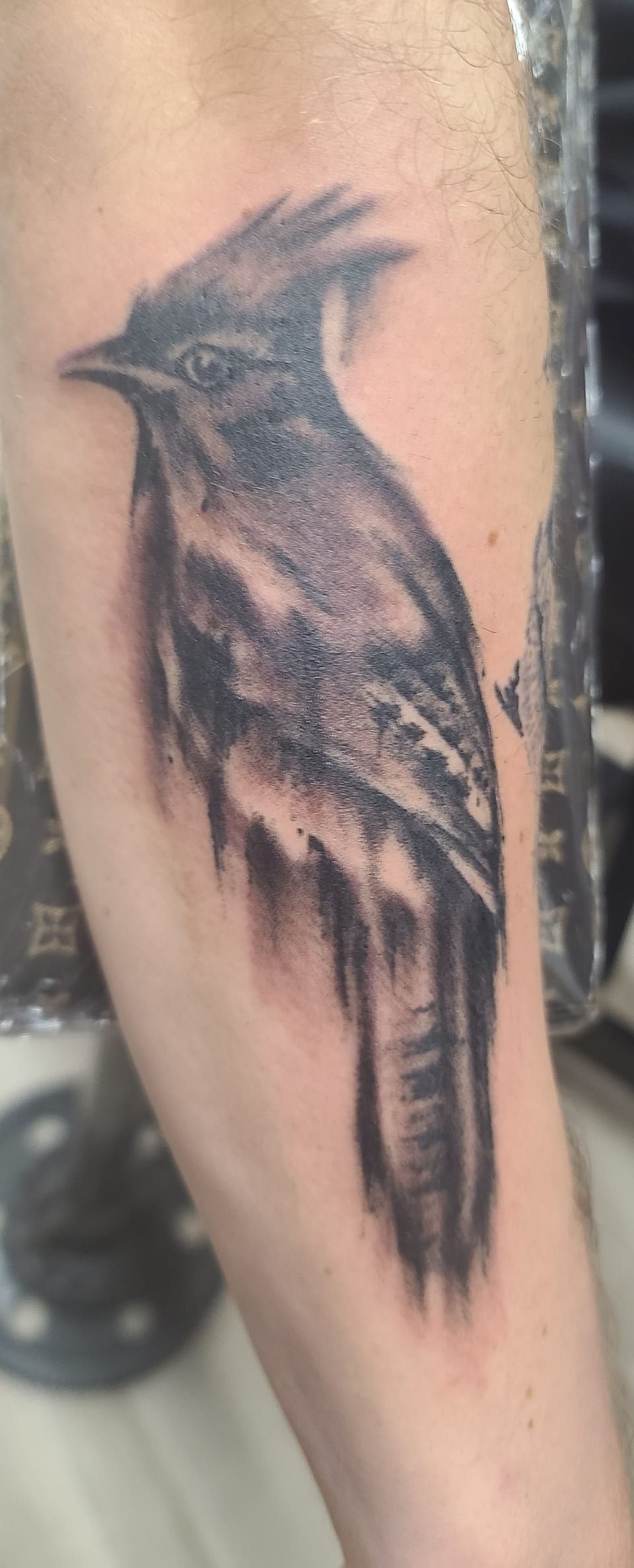 A black raven tattoo fades into long brush-like strokes along an arm.