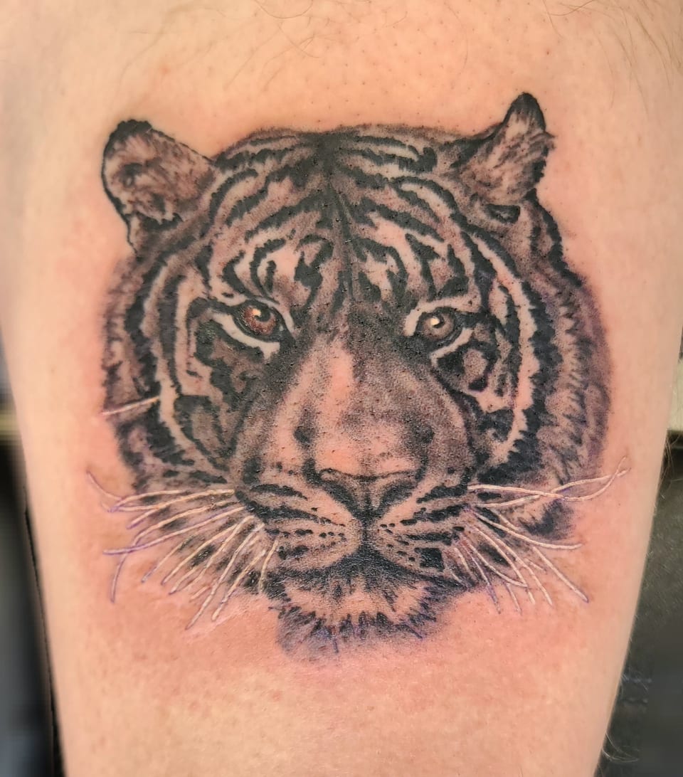 A black and grey tiger portrait tattoo looks forward from an arm.