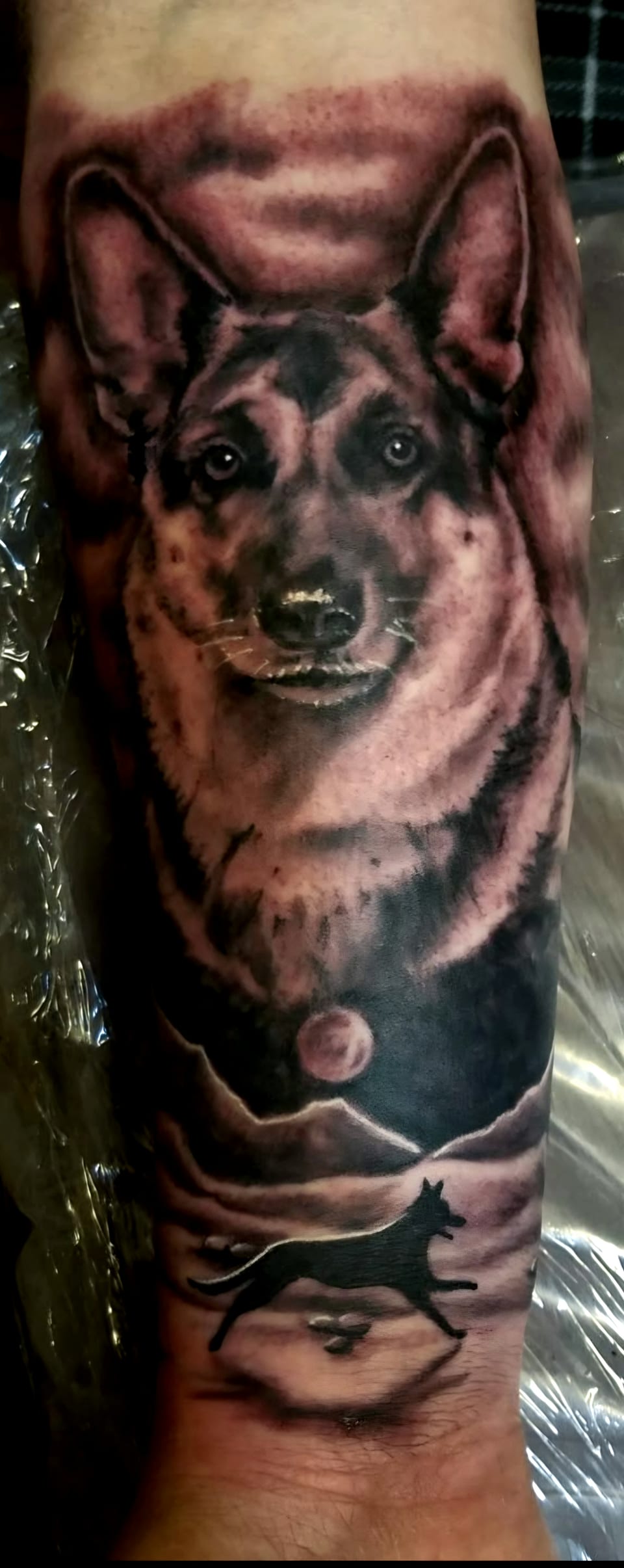 A dog portrait sits above a running dog and mountains in a forearm tattoo.