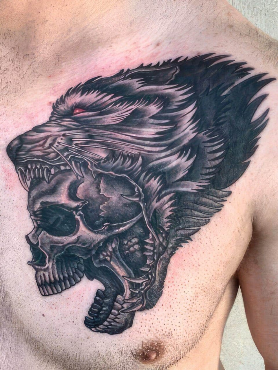 A black-and-grey illustrative wolf with a red eye surrounds a skull on the chest.