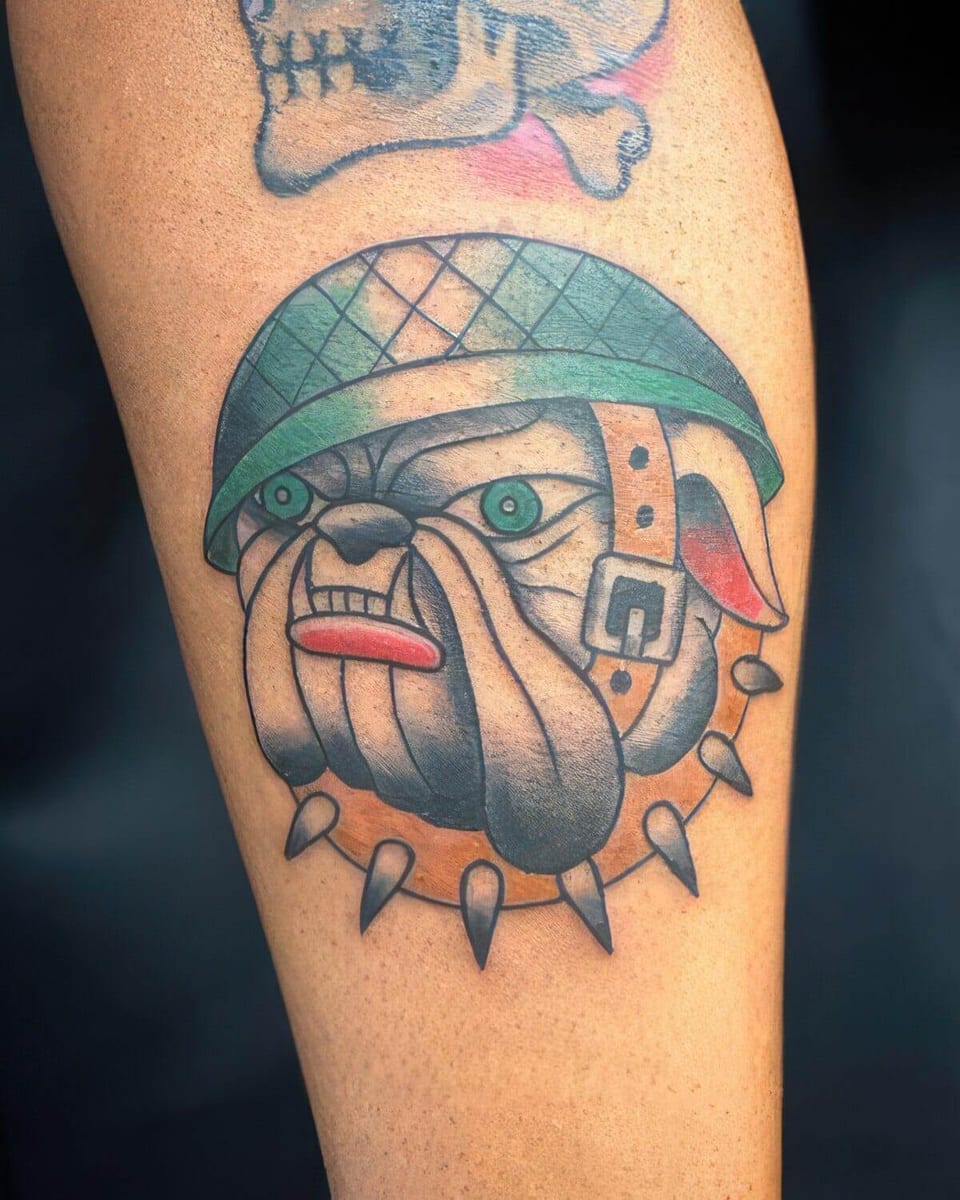 A traditional bulldog in a green helmet with a spiked collar sits on a calf.