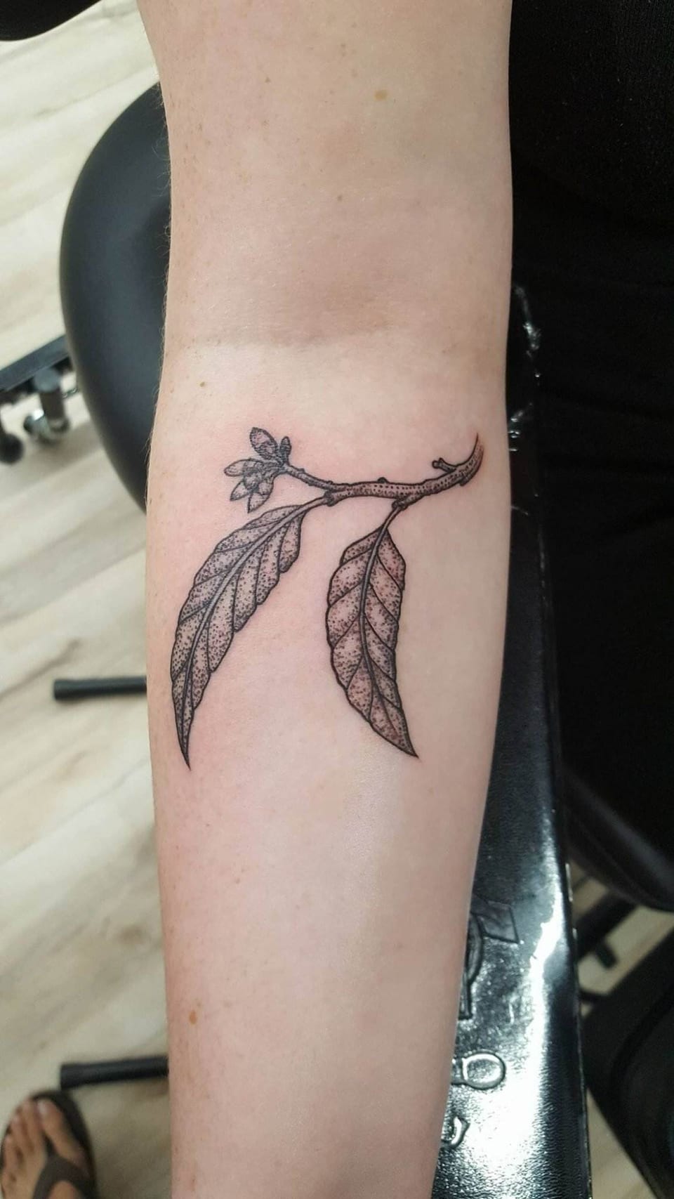 A fine-line leafy branch tattoo with dotwork shading covers an inner forearm.