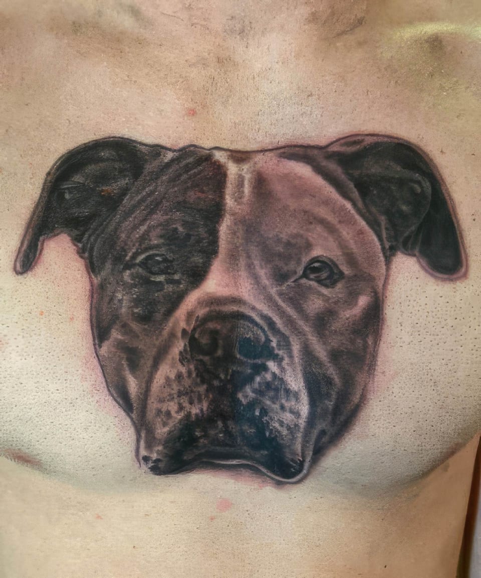 A black-and-grey realistic dog portrait tattoo covers a chest.