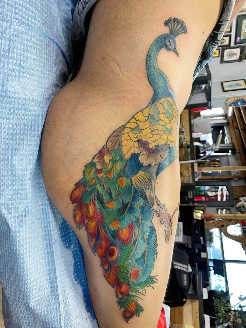 A color illustrative peacock with a long teal and red tail covers the outer upper arm.