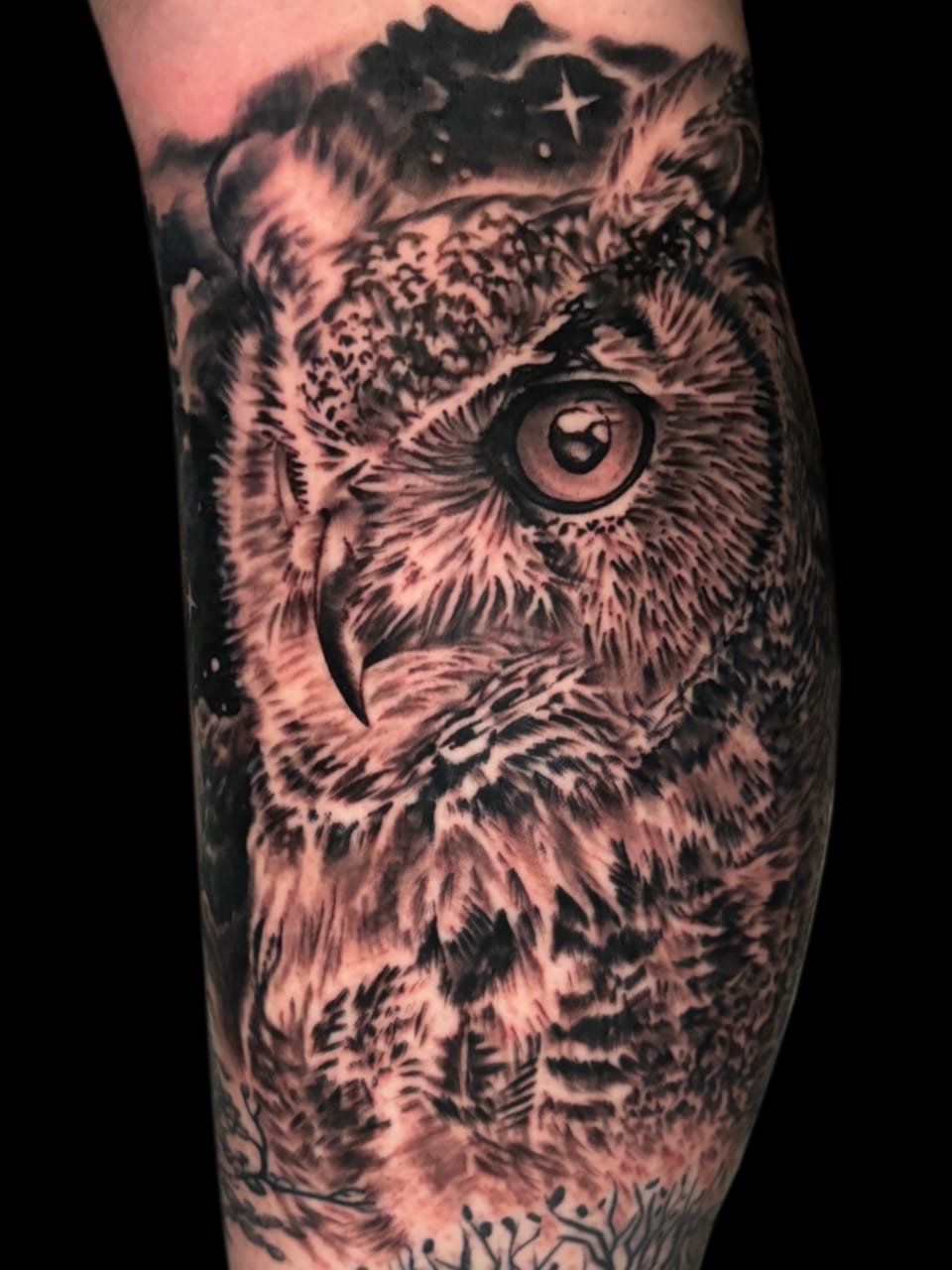 A black and grey realistic owl beneath stars and clouds covers the arm.