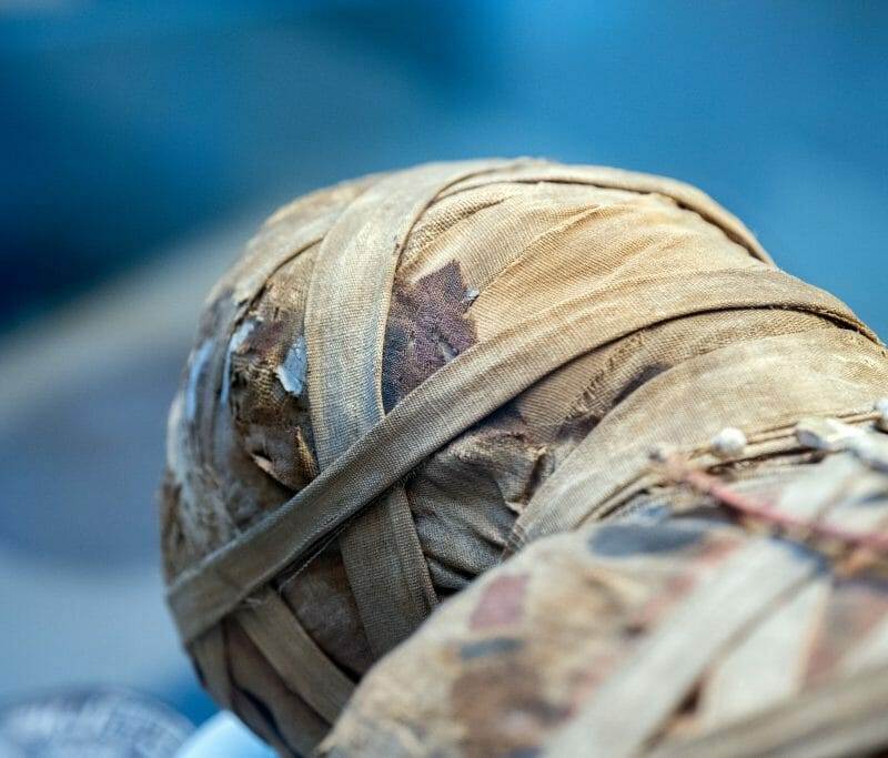 “Oldest Egyptian Mummy Reveals Ancient Body Art and Changes Tattoo Understanding”