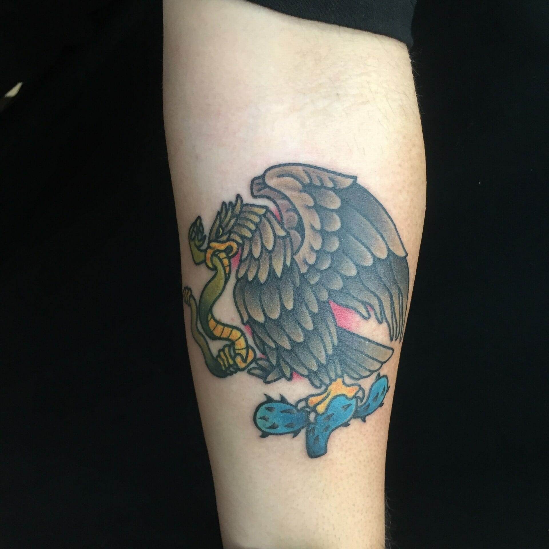 Anna G. K. Art on Tumblr: Ecuador's/pacific ocean's frigate birds soaring  and diving. His first tattoo. And heaps fun fr me #annaktattoo #frigate  #nature...