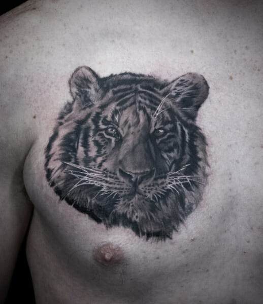 A tattoo of a tiger on the chest.