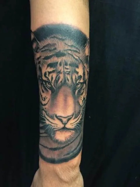 Tiger tattoo, forearm.