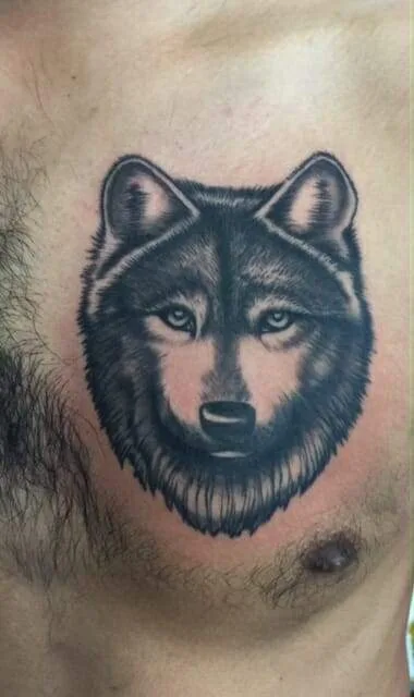 wolf, tattoo, chest