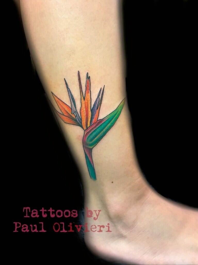 Bird of paradise tattoo by paul oliver.