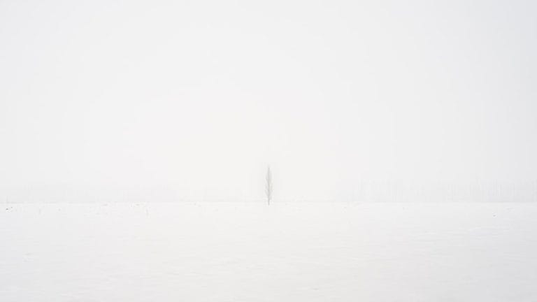 Photo White Ink Highlights