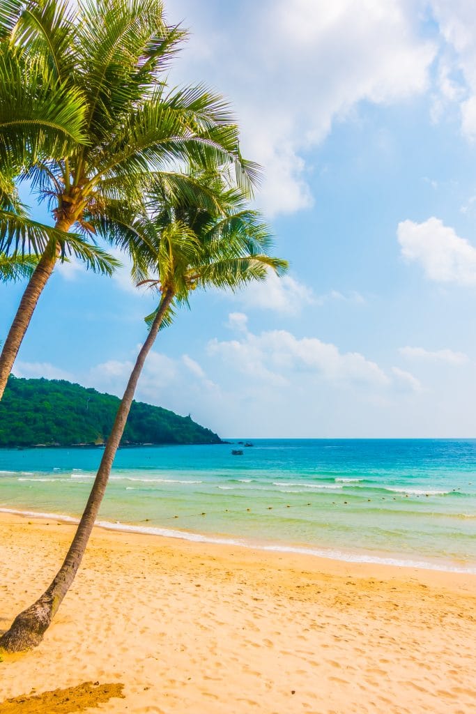Two palm trees stand on a sandy beach with clear turquoise water and a green hill in the background under a blue sky with scattered clouds, creating the perfect spot to relax before your full-day tattoo session.
