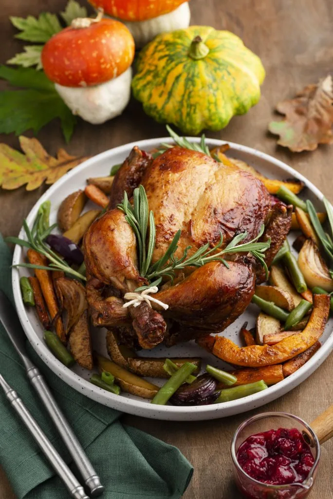 Roast chicken garnished with rosemary, surrounded by roasted vegetables on a plate, with a side of cranberry sauce—perfect comfort food to fuel your tattoo mindset before a full-day tattoo session. Decorative gourds complete the autumnal scene.