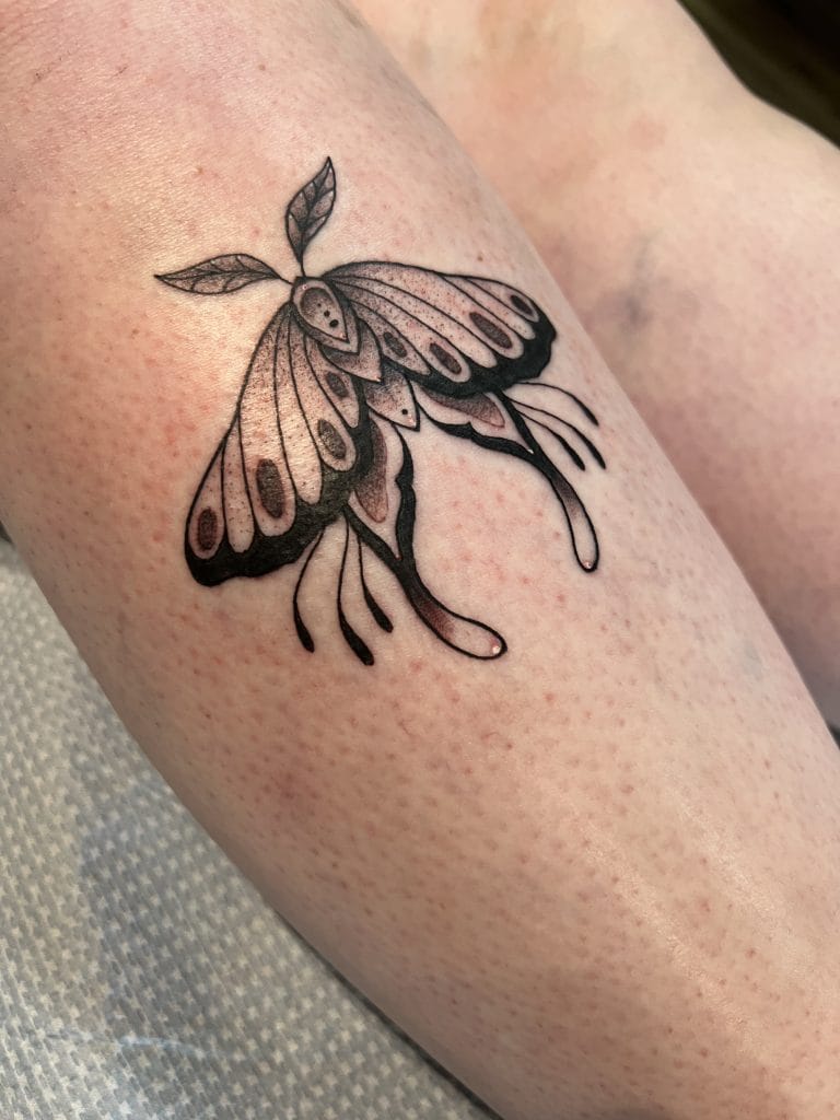 Black outline butterfly tattoo on skin with detailed wings and antennae.