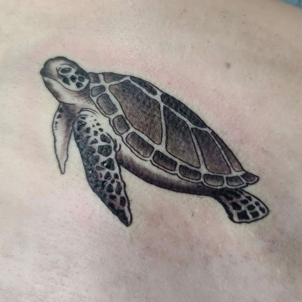 Black and gray turtle tattoo with detailed shell and flippers on skin.