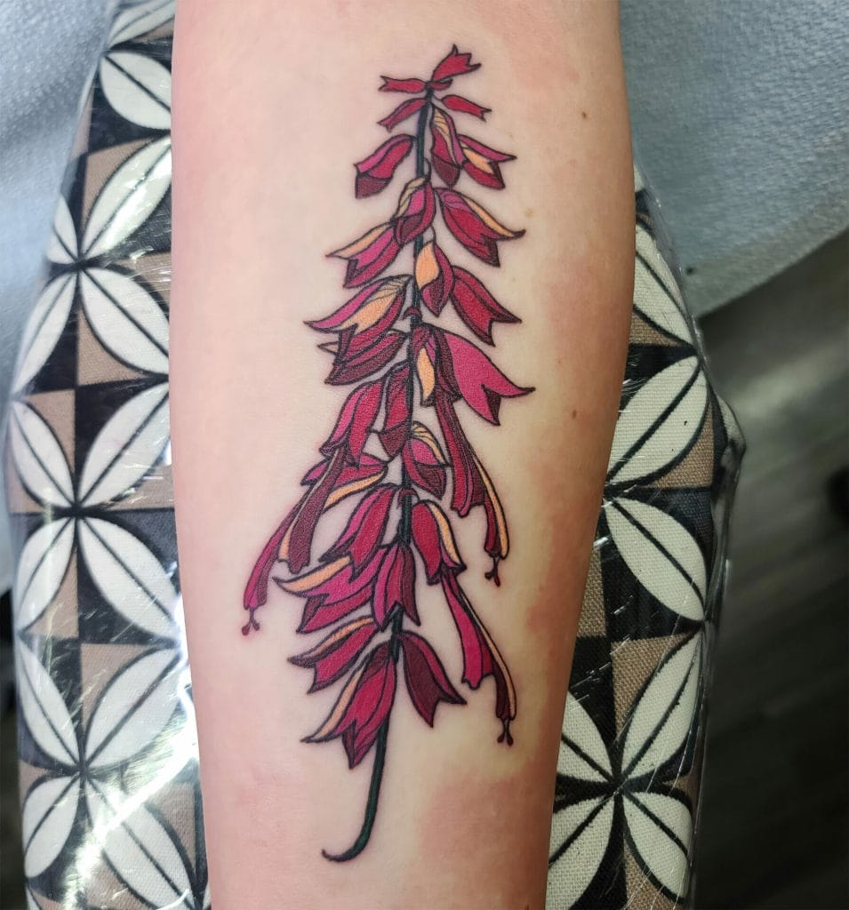 Pink and orange flowering plant tattoo with a black outline on forearm.