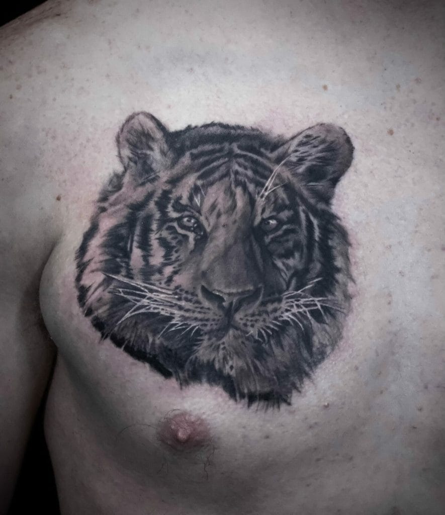 Detailed black and gray tiger face tattoo on persons chest above the nipple.