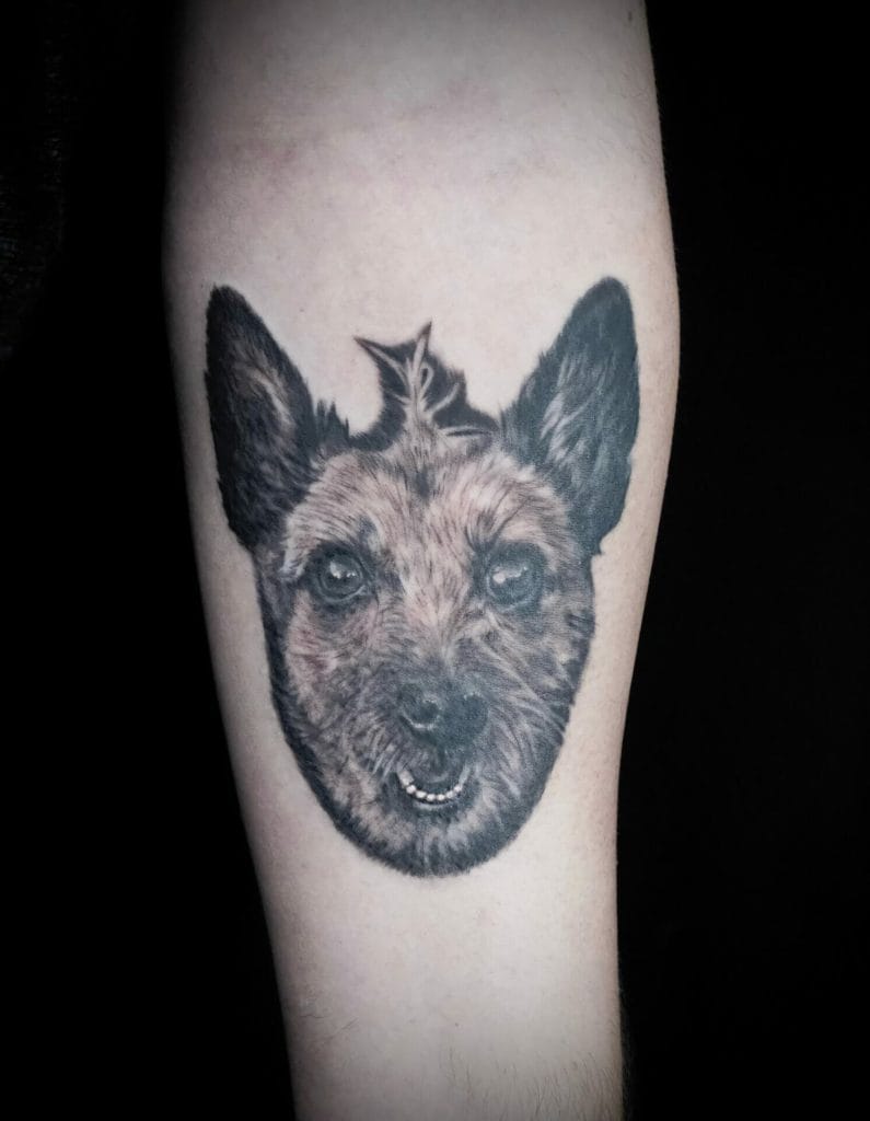 Detailed black and gray tattoo of a dogs face with a small cat sitting on its head.