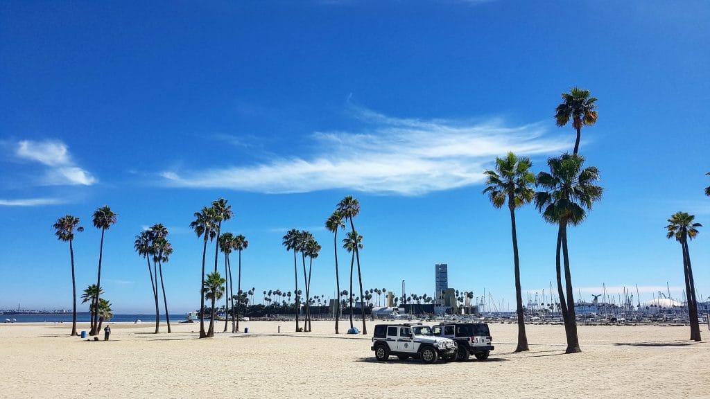 A sandy beach with palm trees, two parked vehicles, and a marina with boats in the background under a clear blue sky—one of San Diego’s top photo spots and known for its tattoo-friendly beaches.
