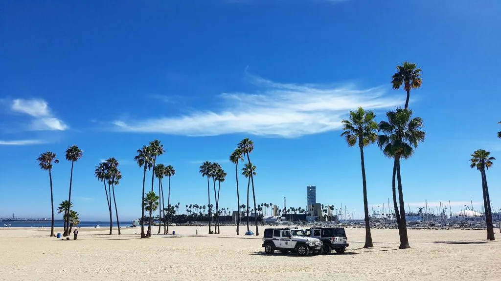 A sandy beach with palm trees, two parked vehicles, and a marina with boats in the background under a clear blue sky—one of San Diego’s top photo spots and known for its tattoo-friendly beaches.
