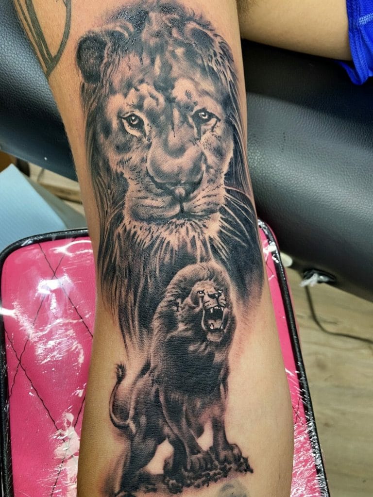 Detailed black and gray tattoo of a lions face above a roaring lion standing on a rock.