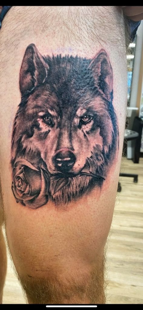 Realistic wolf head tattoo with a rose in its mouth on persons thigh.