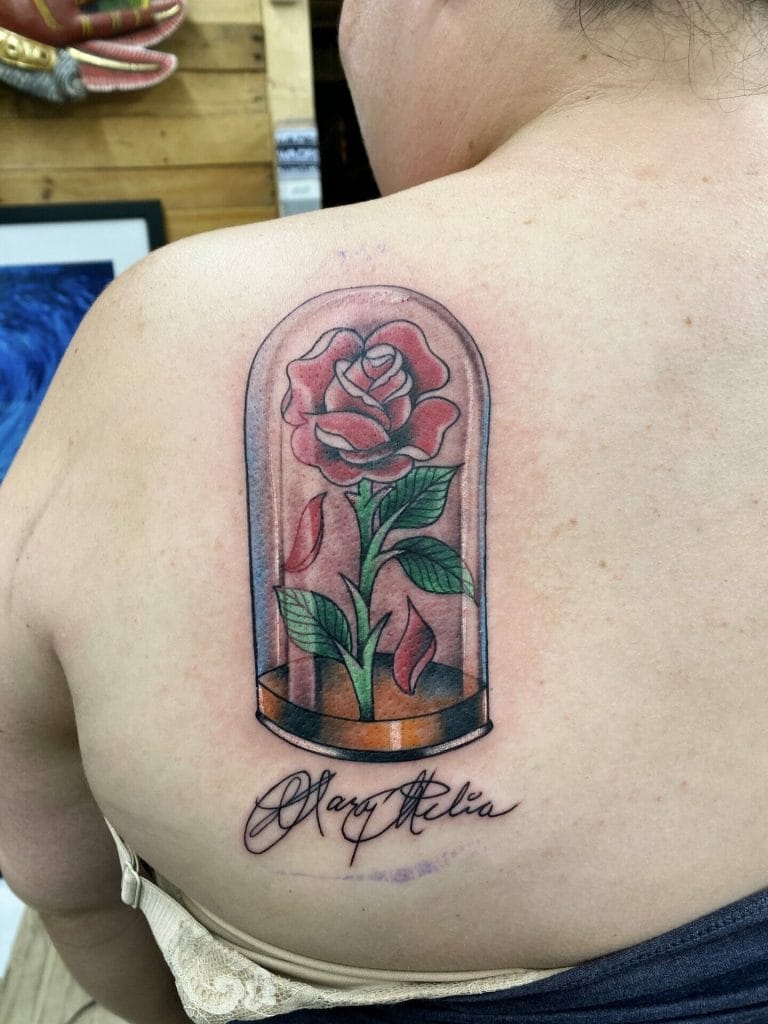Pink rose inside a glass dome with green leaves and a signature below.
