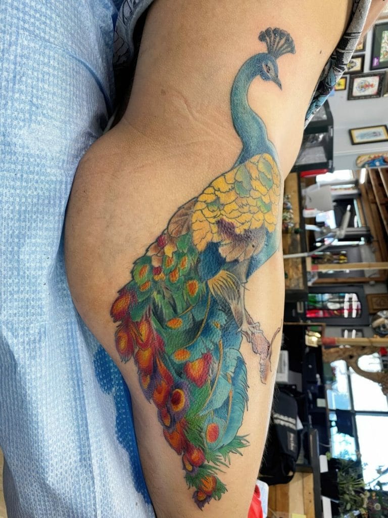 Colorful peacock tattoo with detailed feathers on persons thigh.