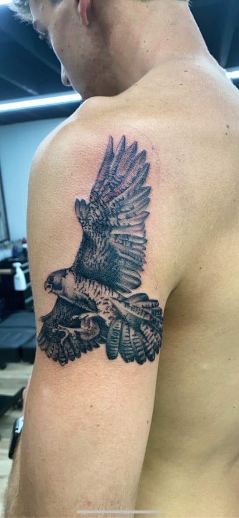 Black and gray tattoo of a hawk with wings spread on upper arm.