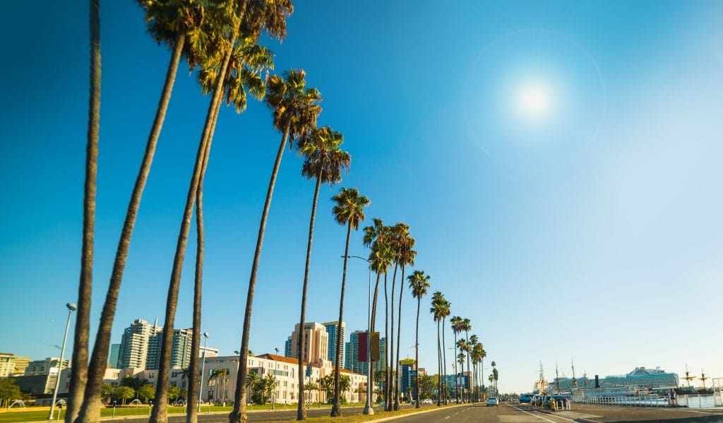 Tall palm trees line a road with city buildings on the left and a cruise ship docked near the water—a sunny San Diego day rich in tattoo history and landmark artists.