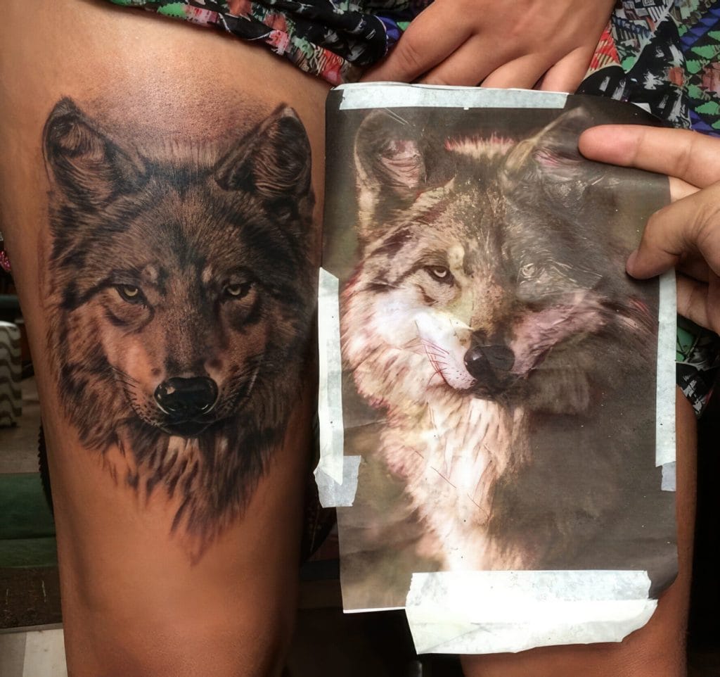 Tattoo of a wolfs face on a persons thigh, with a reference photo of the same wolf held nearby.