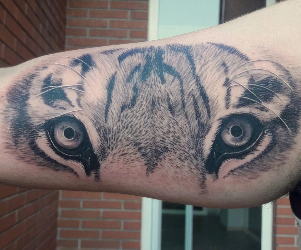 Detailed black and gray tiger face tattoo on forearm with piercing blue eyes.