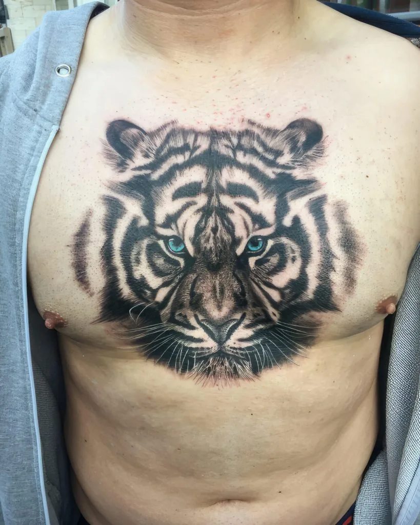 Realistic tiger face tattoo with blue eyes on persons chest.